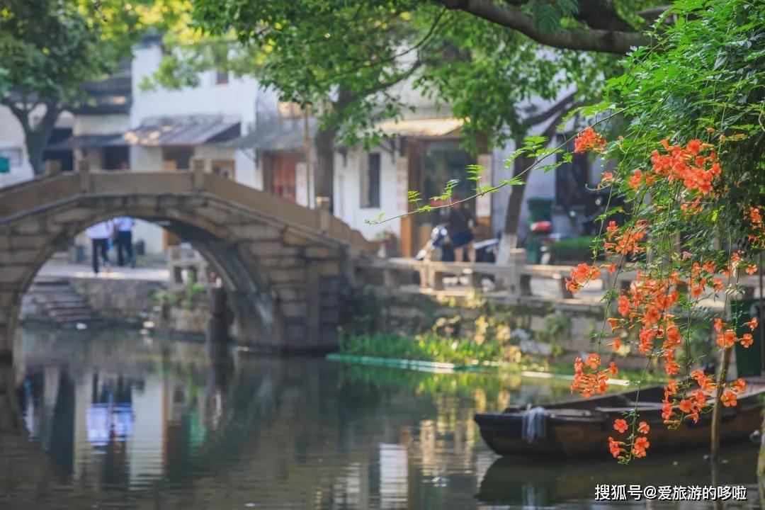 划龙舟吃粽子